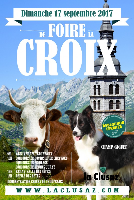 affiche officielle 2017