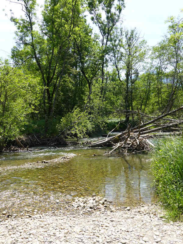 Réserve naturelle du Bout-du-Lac