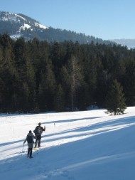 Randonnée hivernale en raquettes à neige