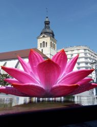 Annecy, oeuvre d'art