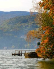 bord lac automne mini vert