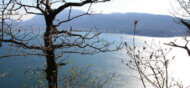 vue sur le lac depuis le mont-veyrier