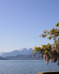 lac d'Annecy au printemps