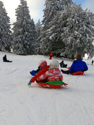 Descente en luge au Semnoz