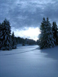 plateau des glières en hiver