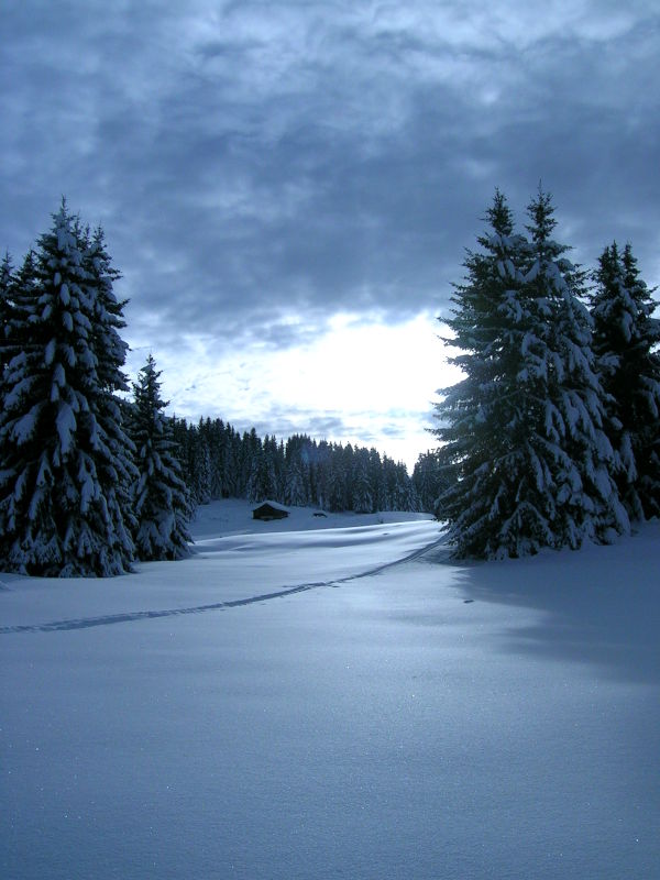 plateau des glières en hiver