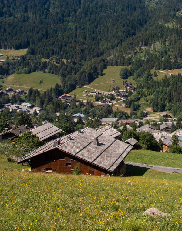 la clusaz, habitat montagnard