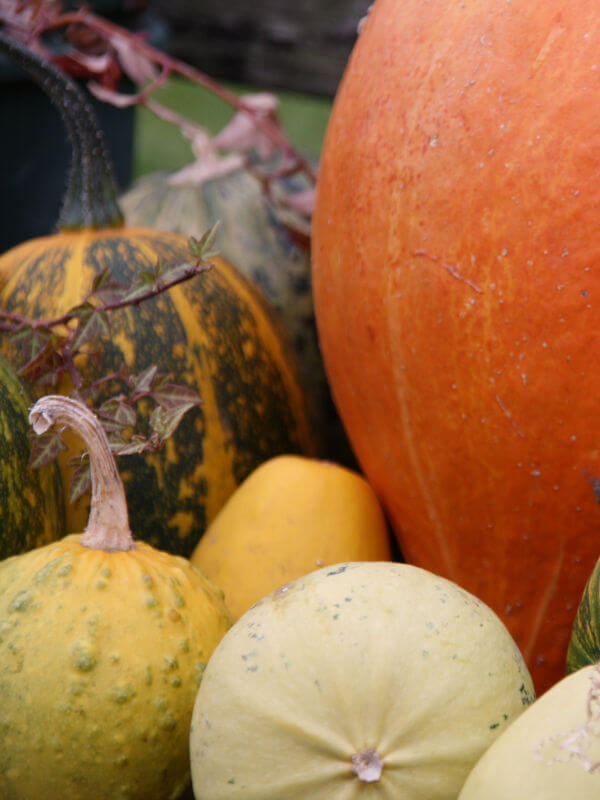 Fête de la Pomme et de la Courge