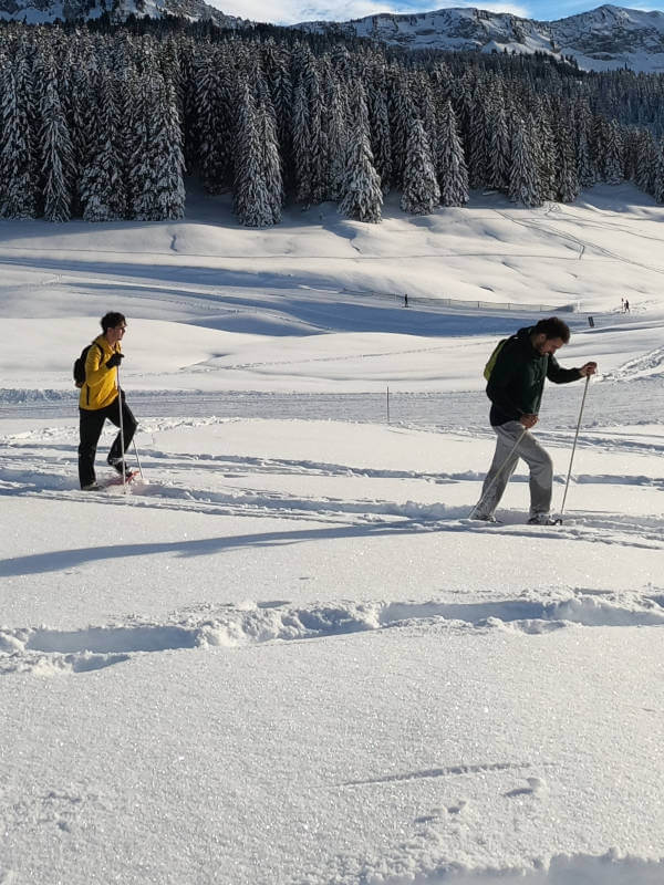 raquettes dans la poudreuse aux Glières