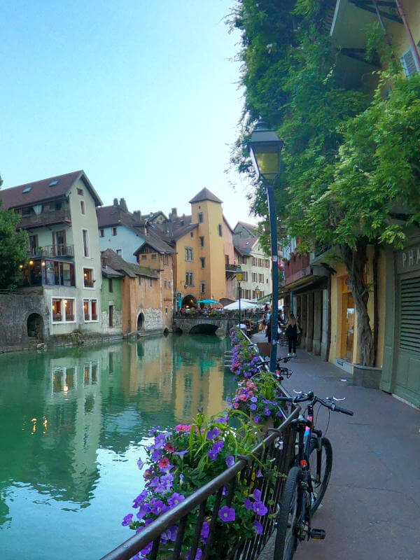 Glycine de la vieille ville