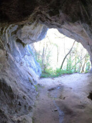 grotte aux oiseaux