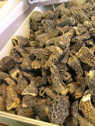 Morilles