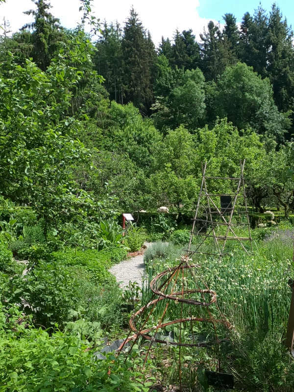 jardins château de Menthon-Saint-Bernard