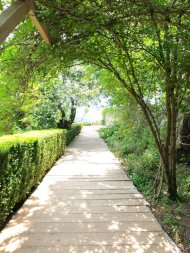 jardins du château de Menthon Saint-Bernard