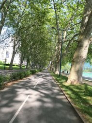 piste cyclable à Annecy avenur d'Albigny