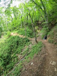 sentier Mont-Veyrier