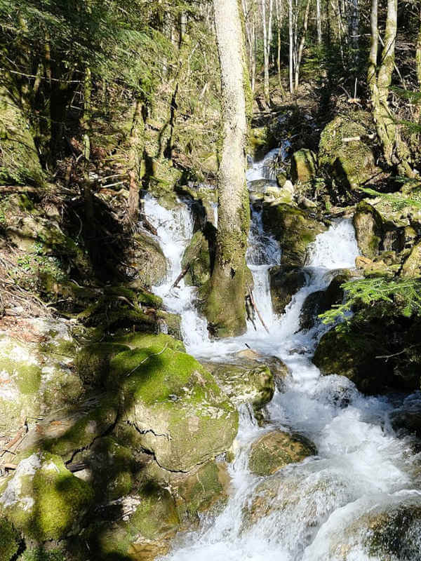 Ruisseau de la mine - entrevernes