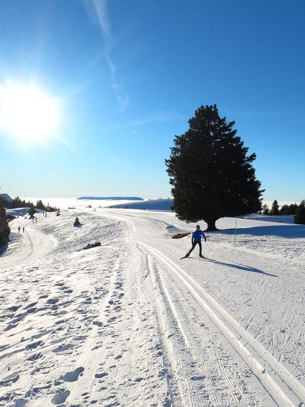 Ski de fond