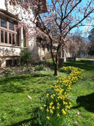 fleurs de printemps aux jardins de l'Europe